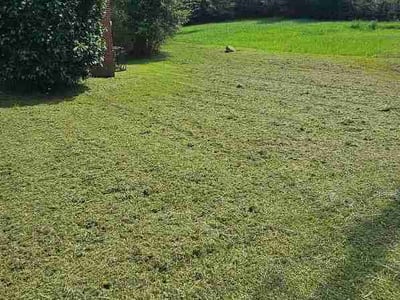 Lawn Care service in Jasper, 35501