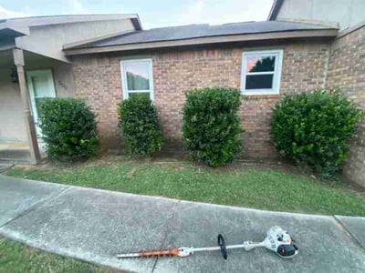 Lawn Care service in Stoughton, 02072