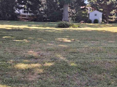 Lawn Care service in Westminster, 21157