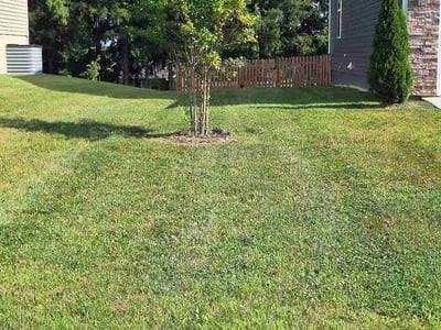 Lawn Care service in Westminster, 21157
