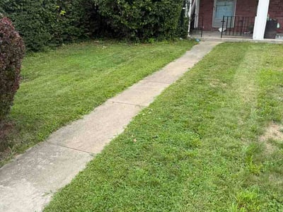 Lawn Care service in Cockeysville, 21030