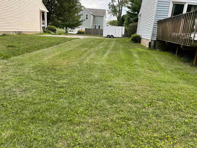 Lawn Care service in Westminster, 21157