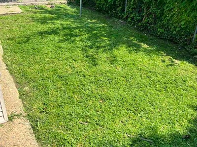 Lawn Care service in Hampstead, 21074