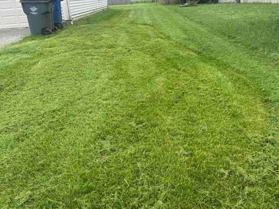 Lawn Care service in Altoona, 16601