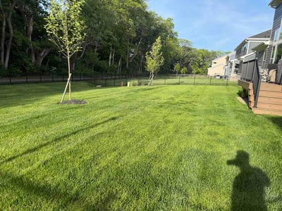 Lawn Care service in Altoona, 16601