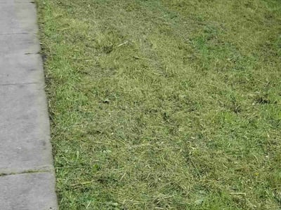 Lawn Care service in Golden Valley, 55422