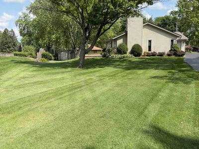 Lawn Care service in Sussex, 53089