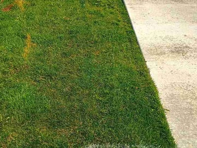 Lawn Care service in Shoreline, 98133