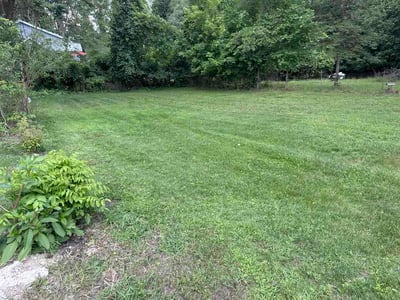Lawn Care service in Greenville, 48838