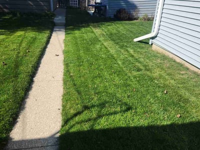 Lawn Care service in Sussex, 53089