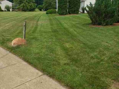 Lawn Care service in Sparta, 49345