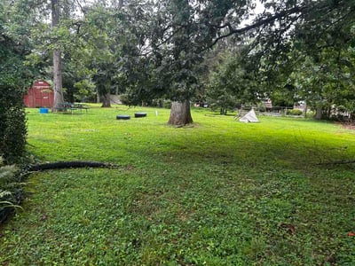 Lawn Care service in Randallstown, 21133