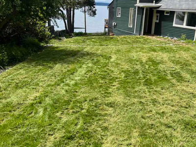 Lawn Care service in Mercer Island, 98040