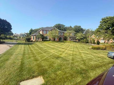 Lawn Care service in Lutherville Timonium, 21093