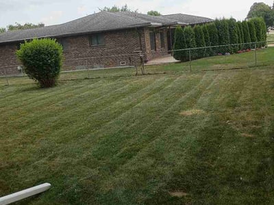 Lawn Care service in Sterling Heights, 48312