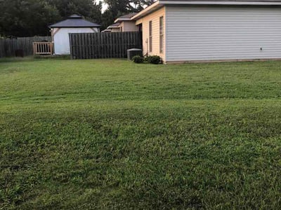 Lawn Care service in Calera, 35040