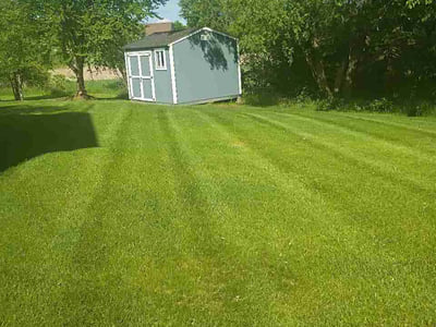 Lawn Care service in Brooklyn Park, 55443