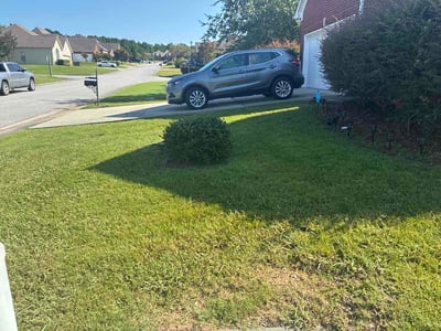 Lawn Care service in Calera, 35040