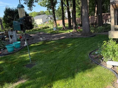 Lawn Care service in Brooklyn Park, 55443