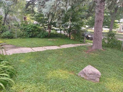 Lawn Care service in Cottage Grove, 55016