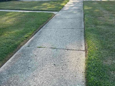 Lawn Care service in Wyandotte, 48192
