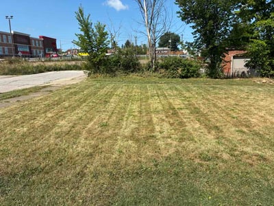 Lawn Care service in Hartland, 53029