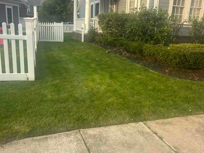 Lawn Care service in Wyandotte, 48192