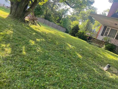 Lawn Care service in Edgewater, 21037