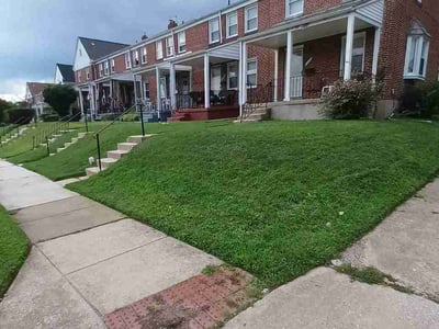 Lawn Care service in Edgewater, 21037