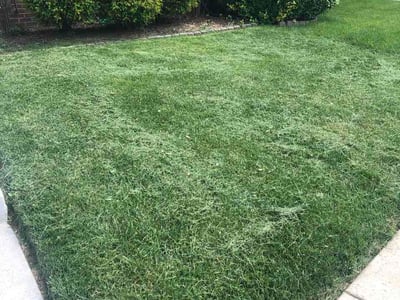 Lawn Care service in Joppa, 21085