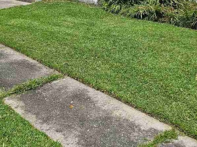 Lawn Care service in Plaquemine, 70764