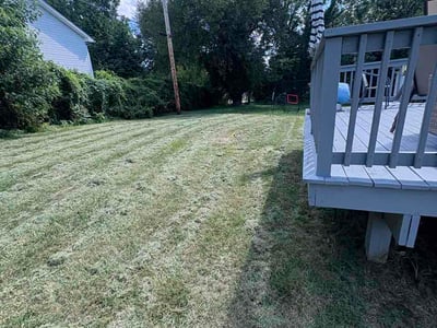 Lawn Care service in Pasadena, 21122