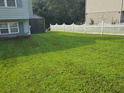 Lawn Care service in Pasadena, 21122
