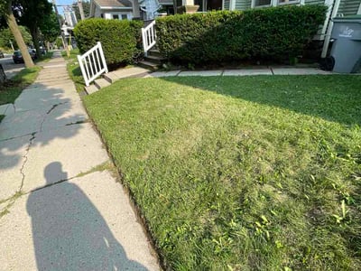 Lawn Care service in Shorewood, 53211