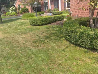 Lawn Care service in Northville, 48167