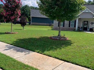 Lawn Care service in Locust Grove, 30248