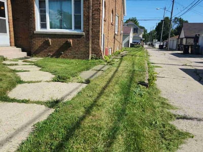 Lawn Care service in Cedarburg, 53012