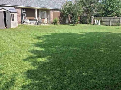 Lawn Care service in Denham Springs, 70726