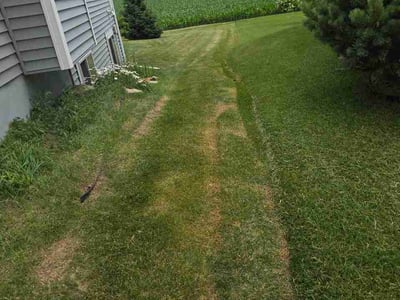 Lawn Care service in Middleton, 53562