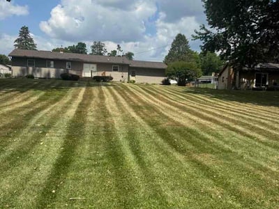 Lawn Care service in Grand Ledge, 48837