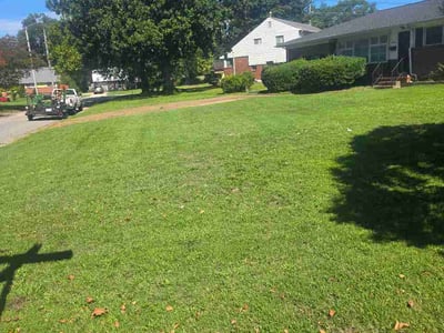 Lawn Care service in Williamsburg, 23185