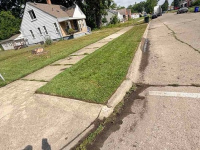 Lawn Care service in Redford Charter Township, 48239