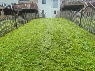 Lawn Care service in Perry Hall, 21128