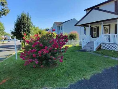 Lawn Care service in Perry Hall, 21128