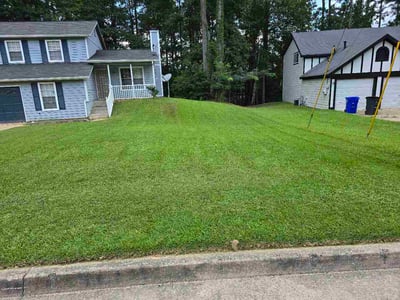 Lawn Care service in Union City, 30291