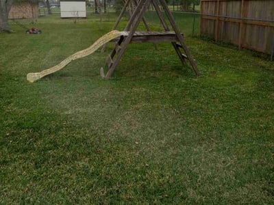 Lawn Care service in Edmonds, 98020