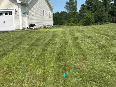 Lawn Care service in Saratoga Springs, 12866