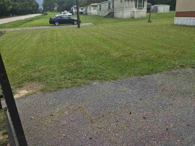 Lawn Care service in Edmonds, 98020