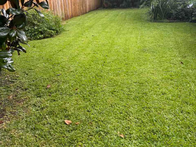 Lawn Care service in Chalmette, 70043