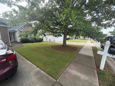 Lawn Care service in Mcdonough, 30253
